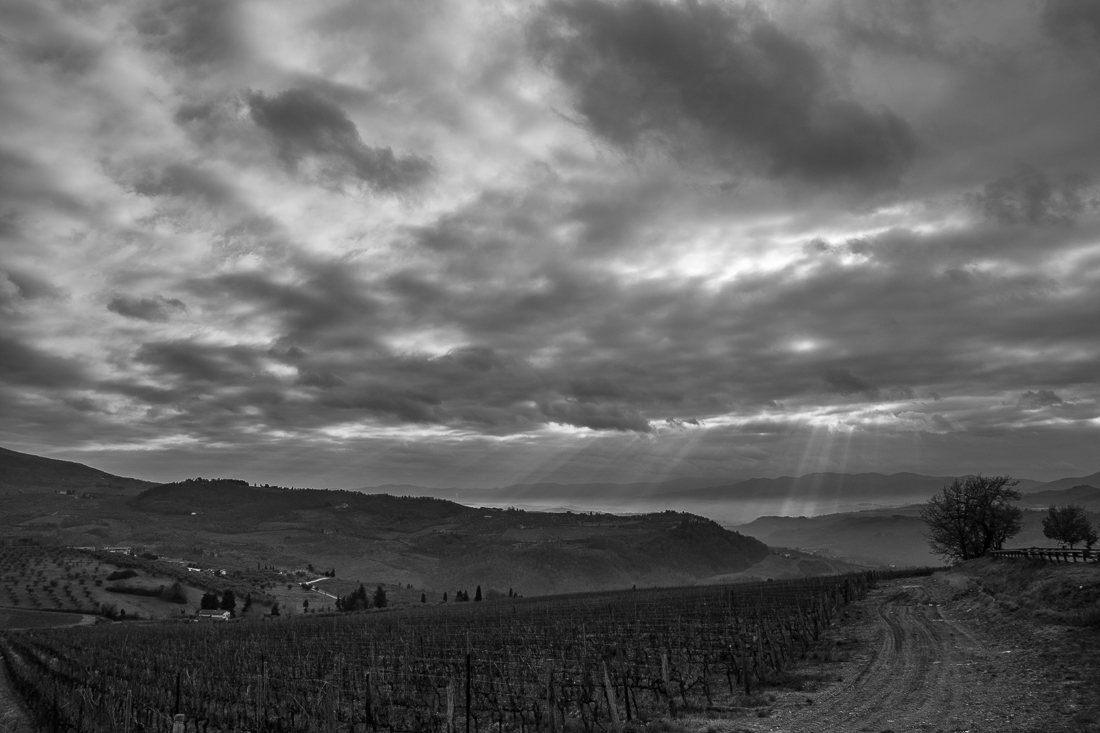 Sunbeams
