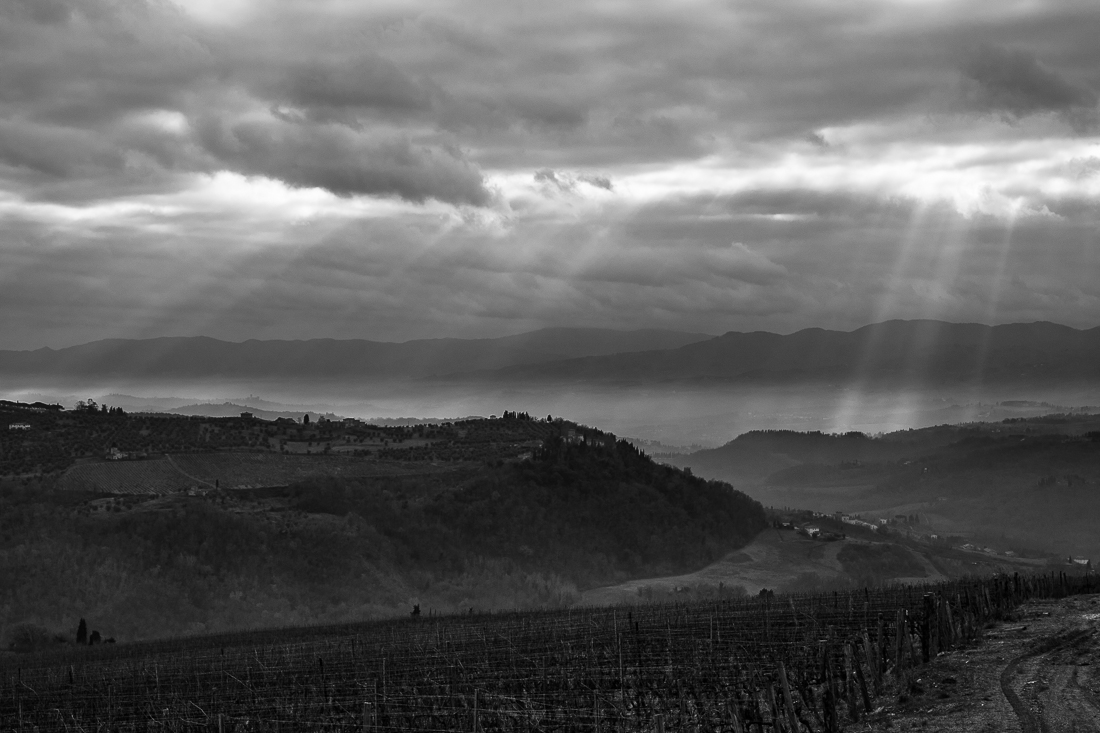Sunbeams