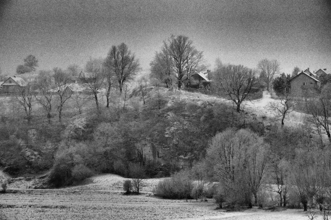 GRAUND FROST