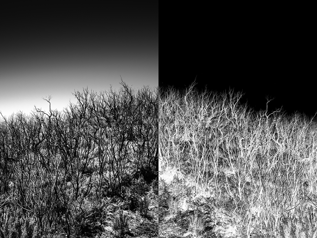 The inverted world