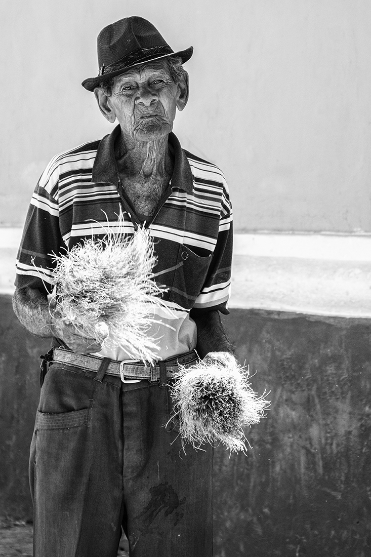 Man with Flowers
