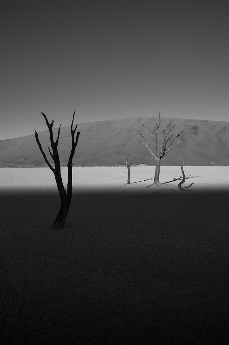 No Man's Land