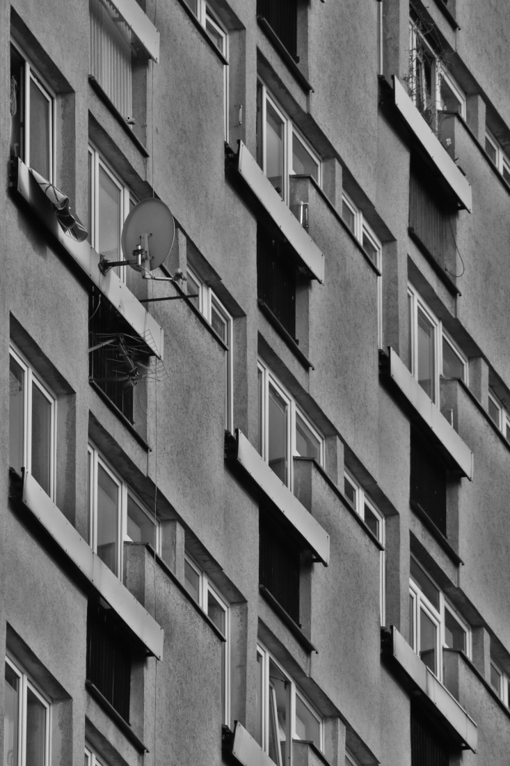 Polish Modernism