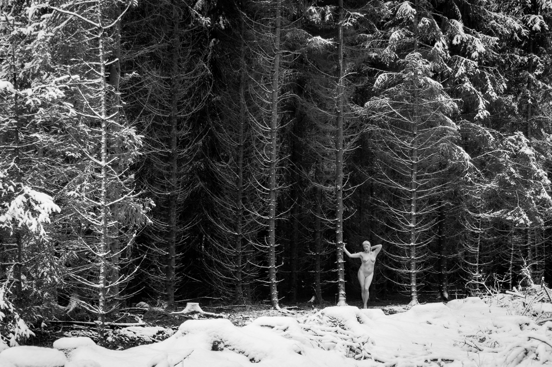 Forest Hulder