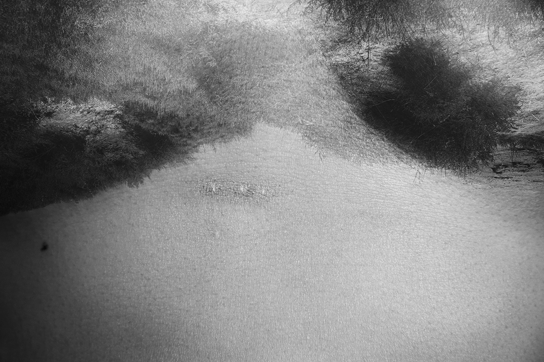 Adherences and indelebile signes.