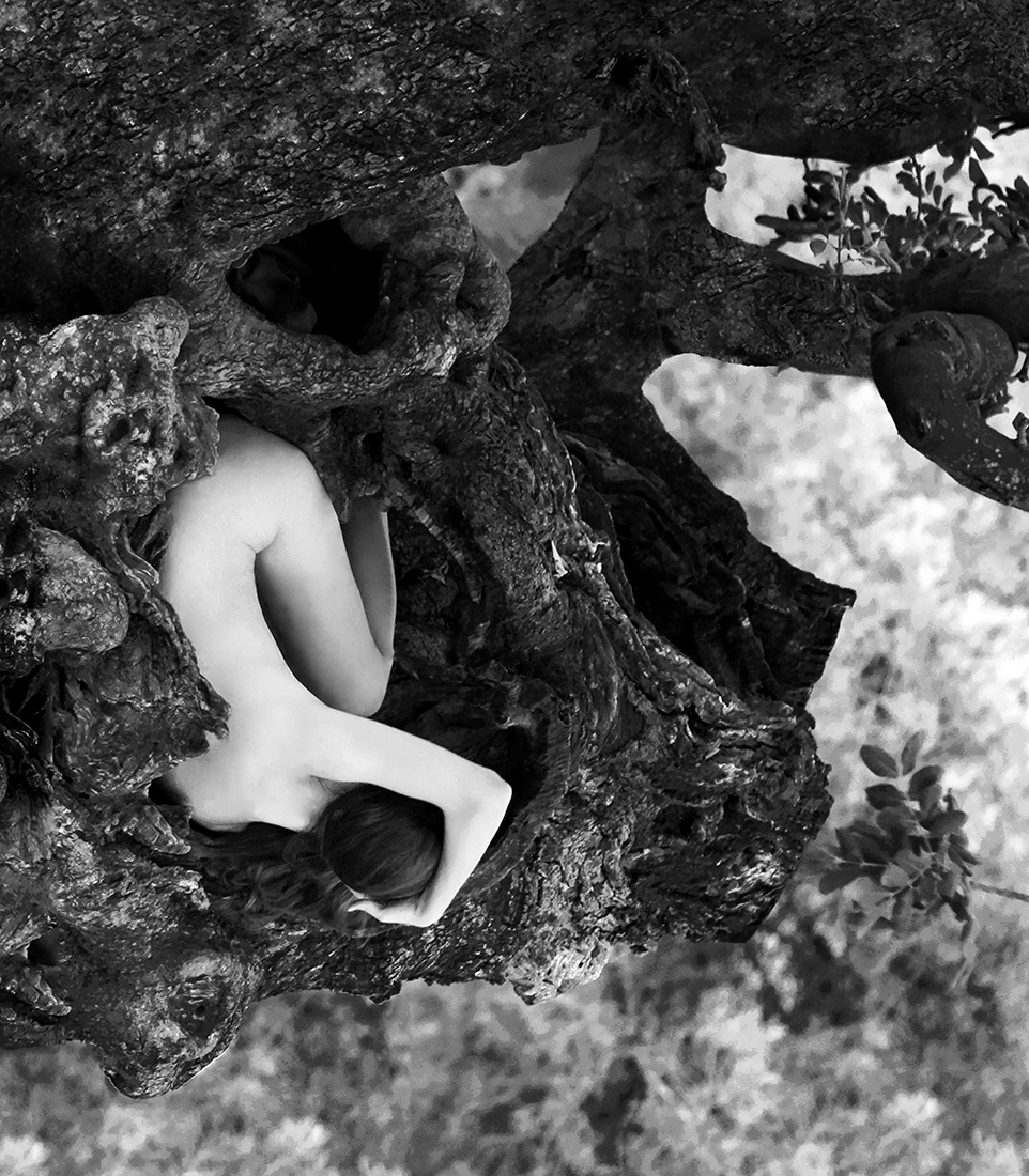 About my branches