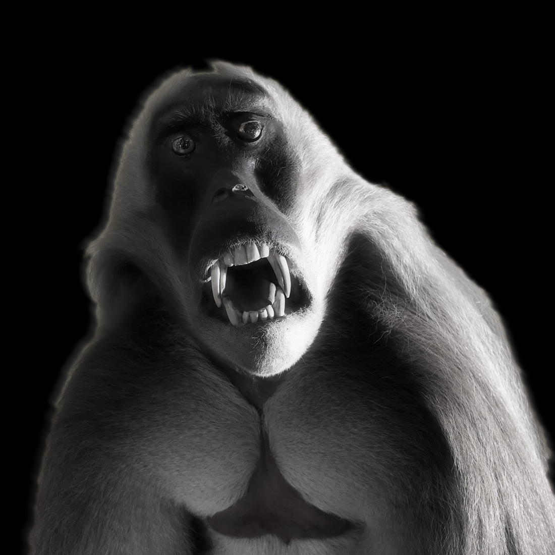 Natural History: Ghosts and Monsters