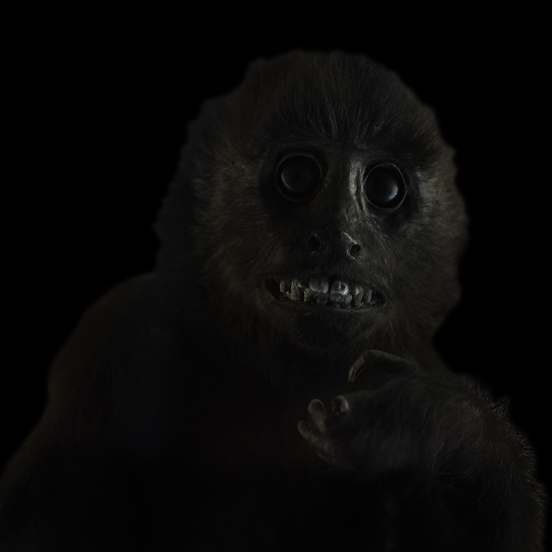 Natural History: Ghosts and Monsters