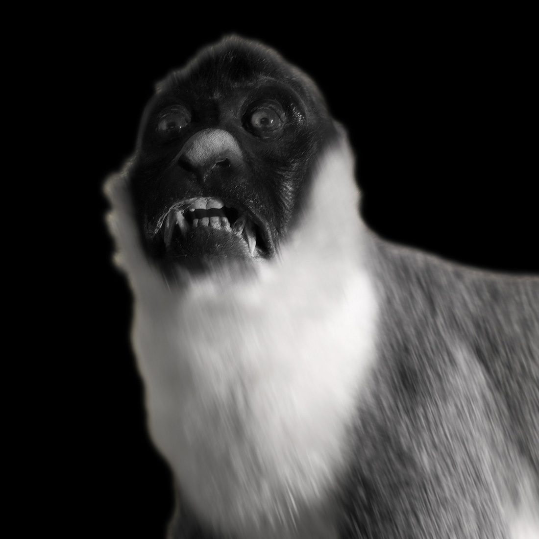 Natural History: Ghosts and Monsters