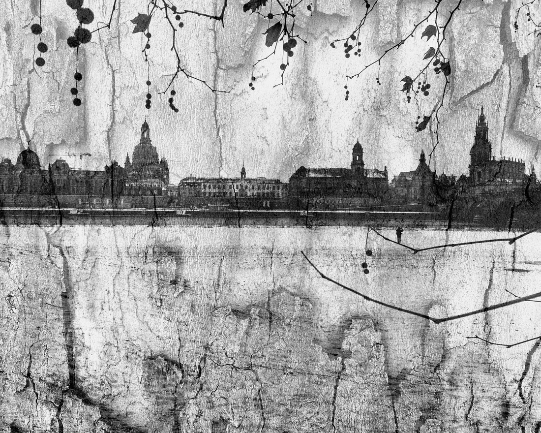 Winter view of the Dresden Old Town