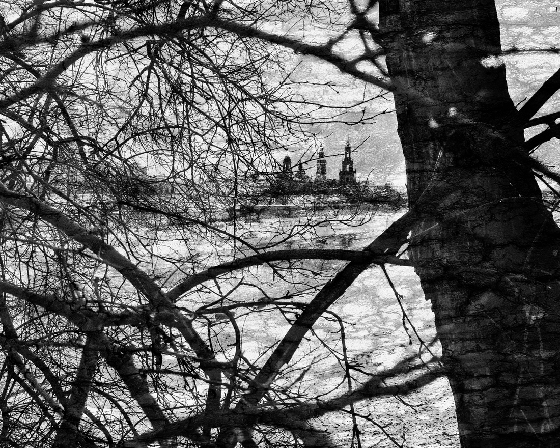 Winter view of the Dresden Old Town