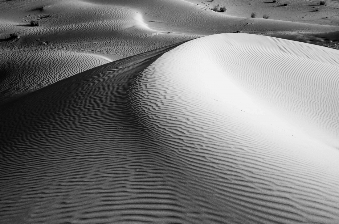 The Empty Quarter 