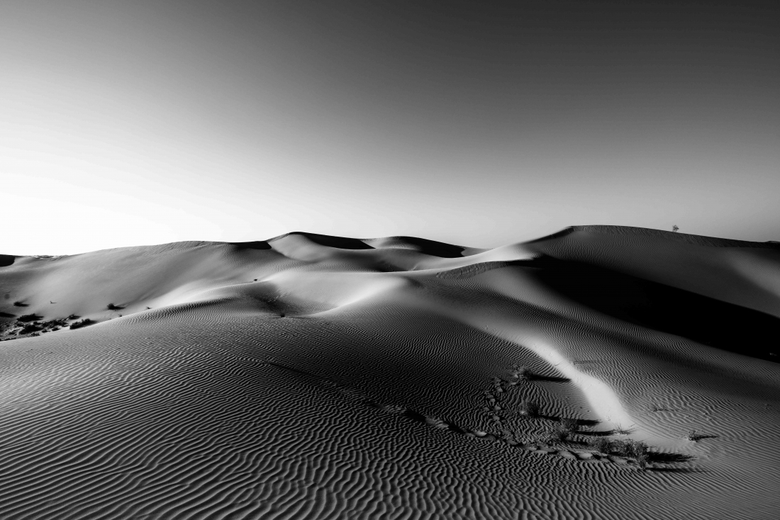 The Empty Quarter 