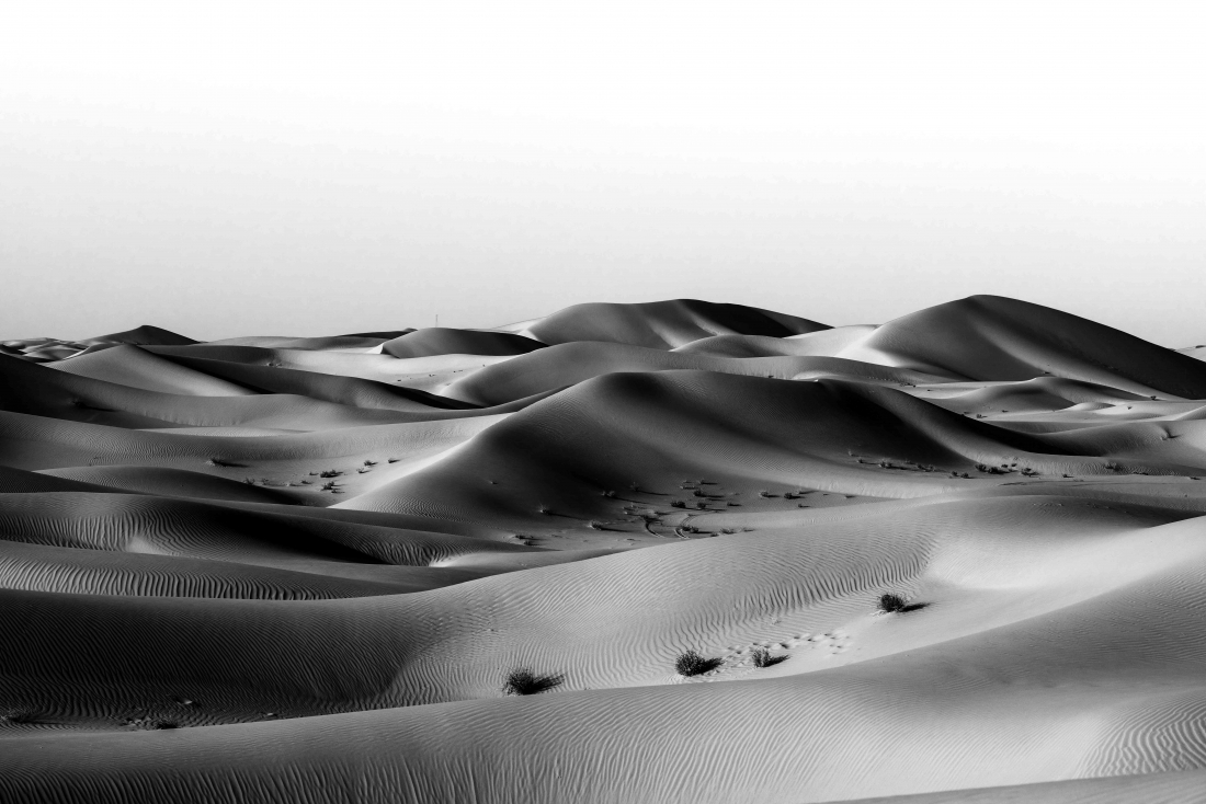 The Empty Quarter 