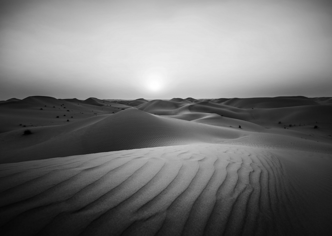 The Empty Quarter 