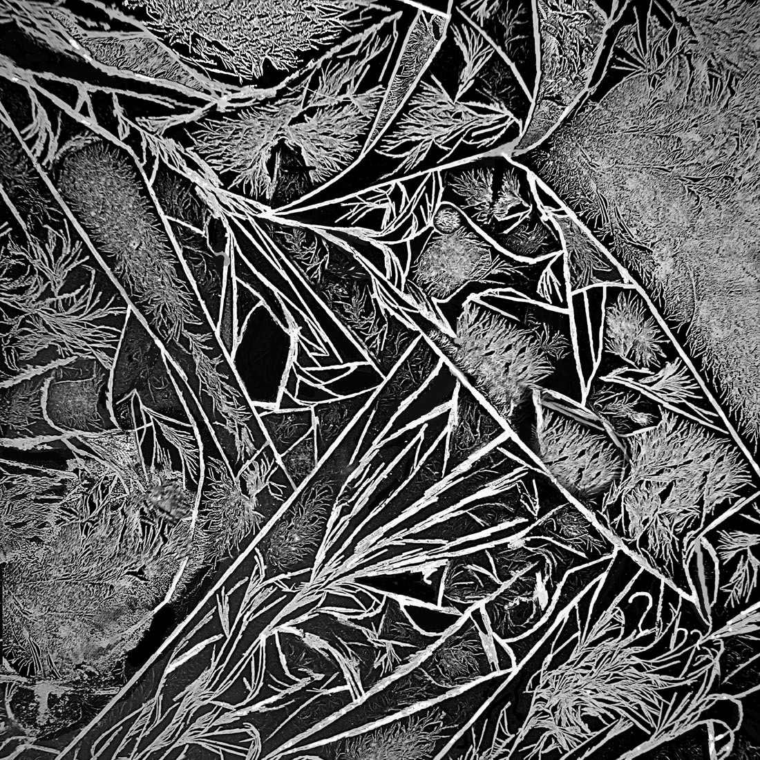 Untitled-1