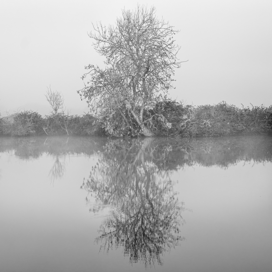 Broadland landscapes 