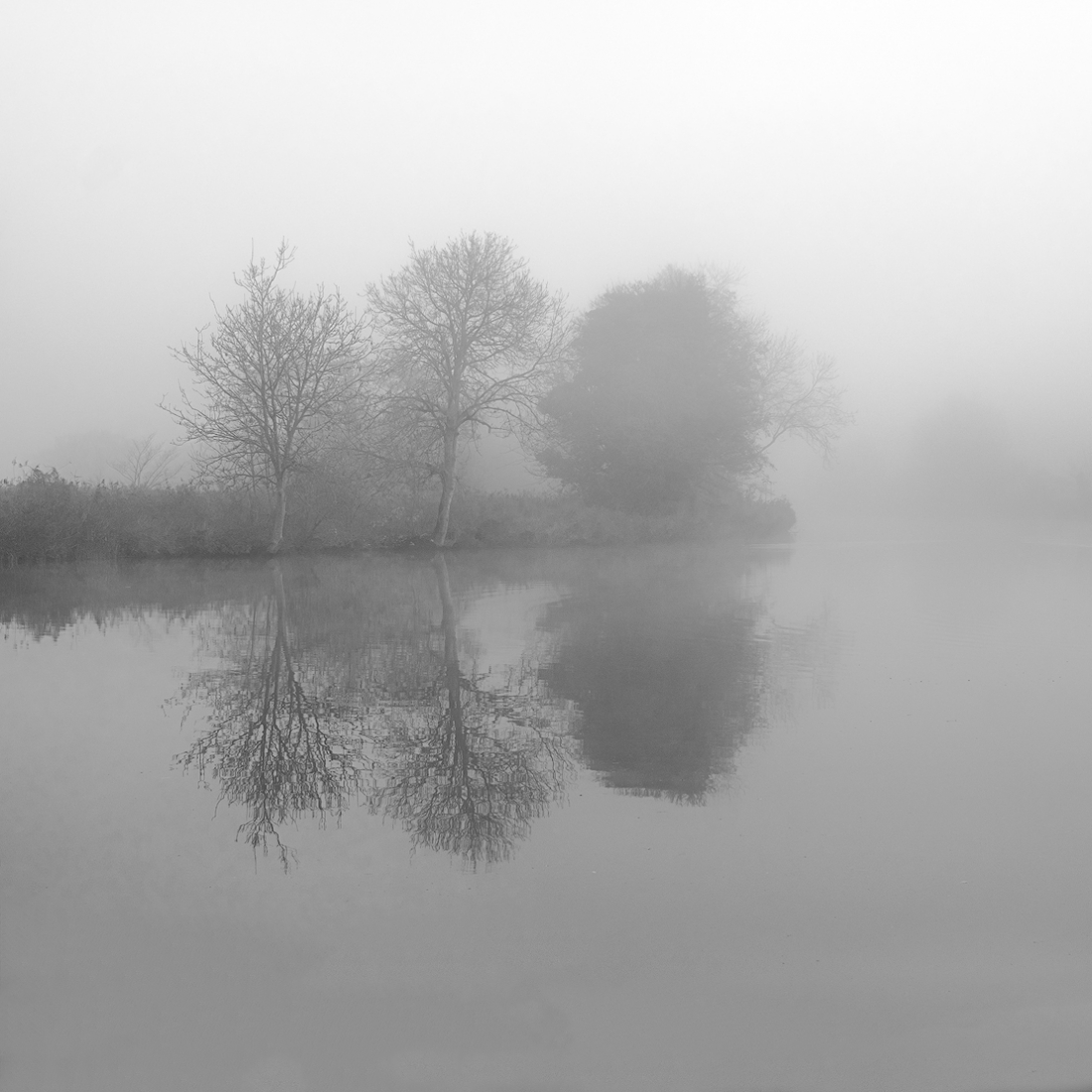 Broadland landscapes 