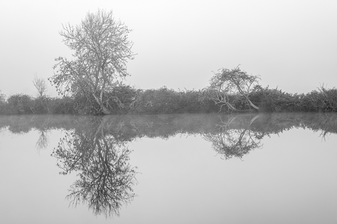 Broadland landscapes 