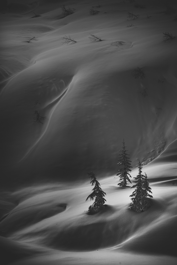 Snow Waves