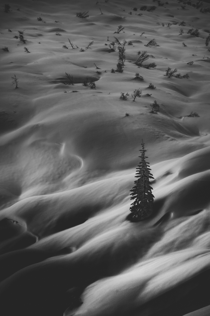 Snow Waves