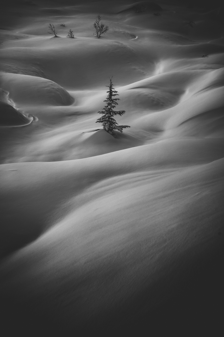 Snow Waves