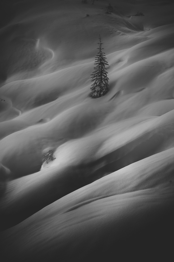 Snow Waves