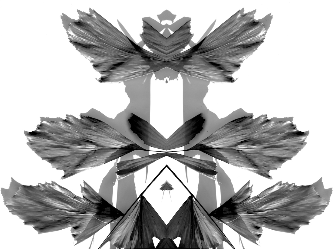 Monochrome Reflections