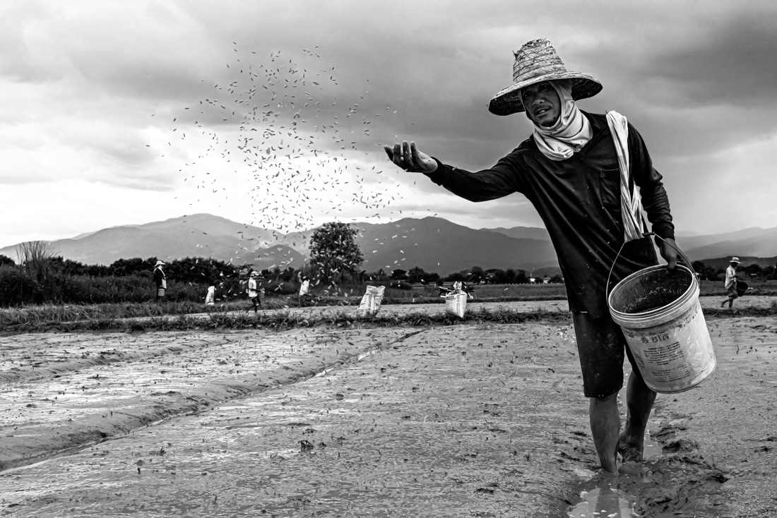 Working Class: Chiang Mai, Thailand