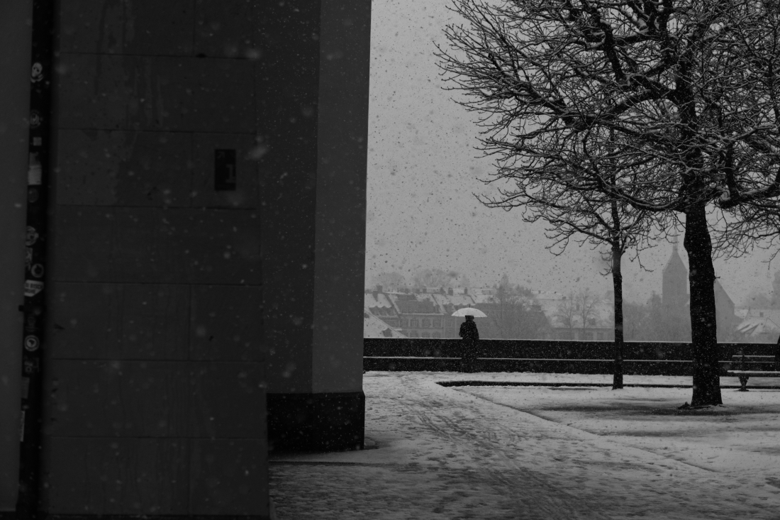 Snowfall over Basel