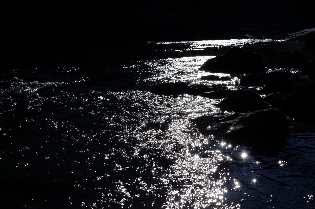 FLUSS