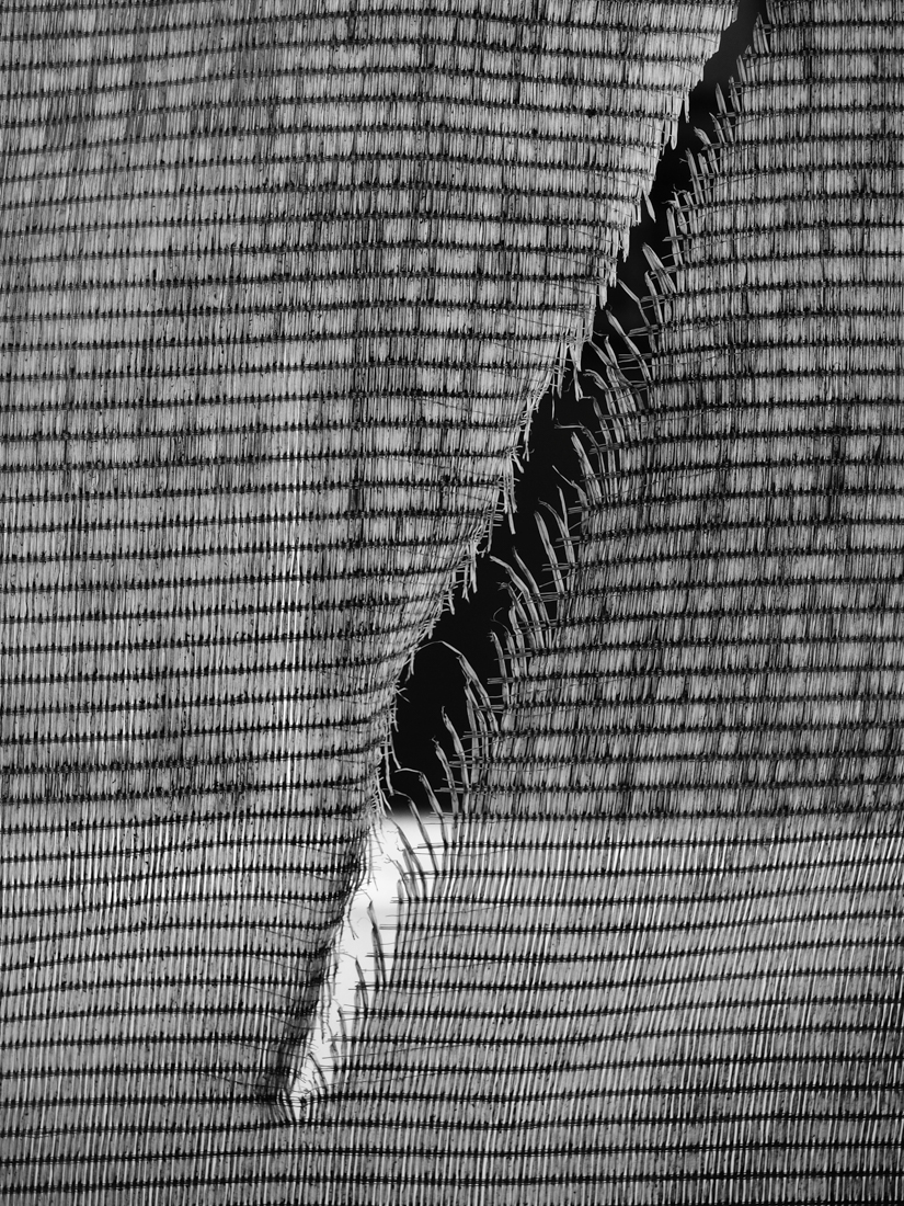 Scar Tissue