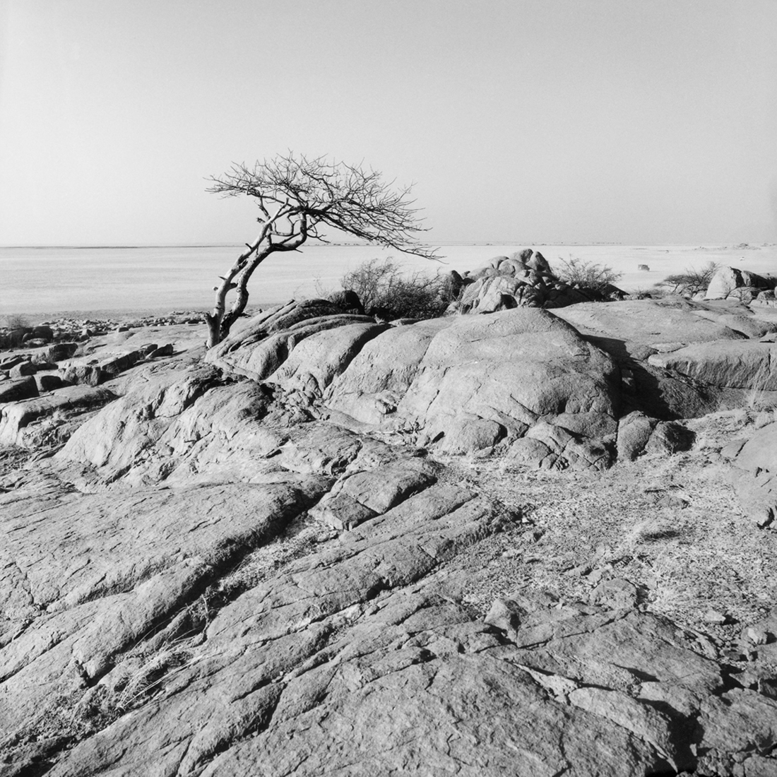 Kubu Island