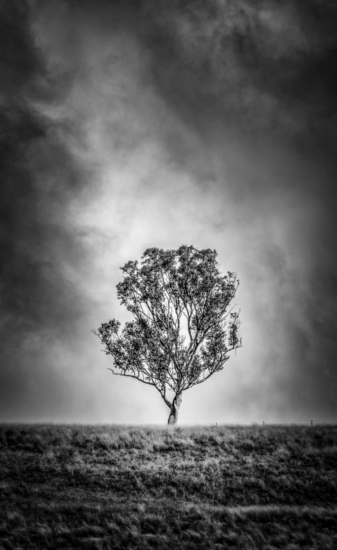 ALONE