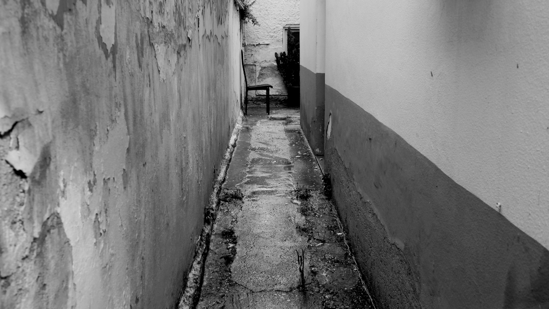 Interior landscapes 