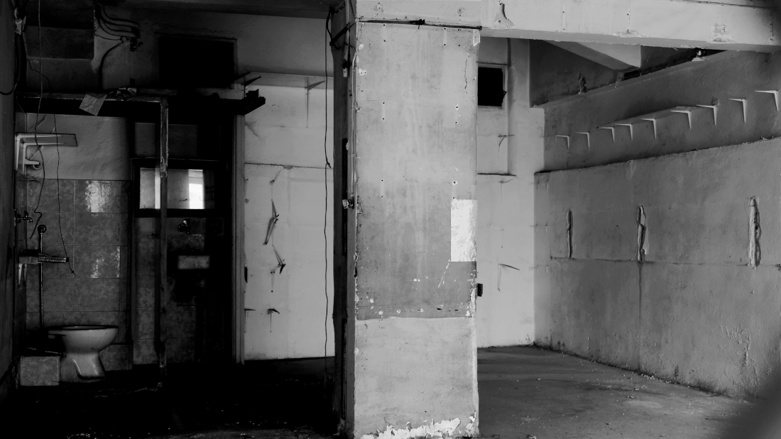 Interior landscapes 