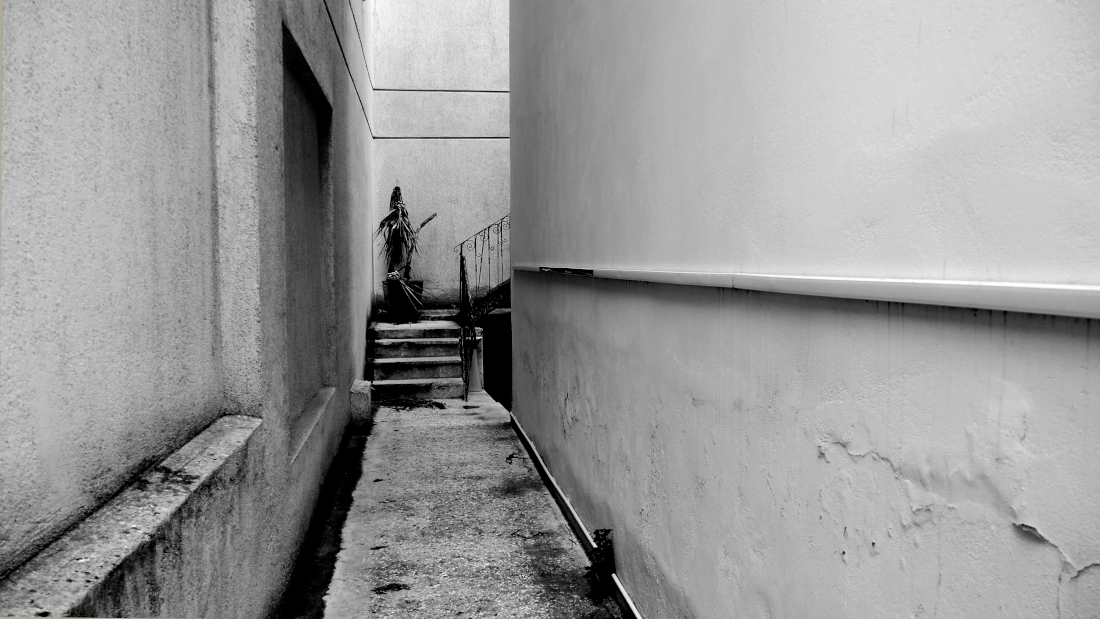 Interior landscapes 