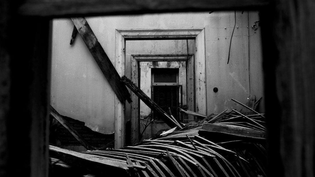 Interior landscapes 