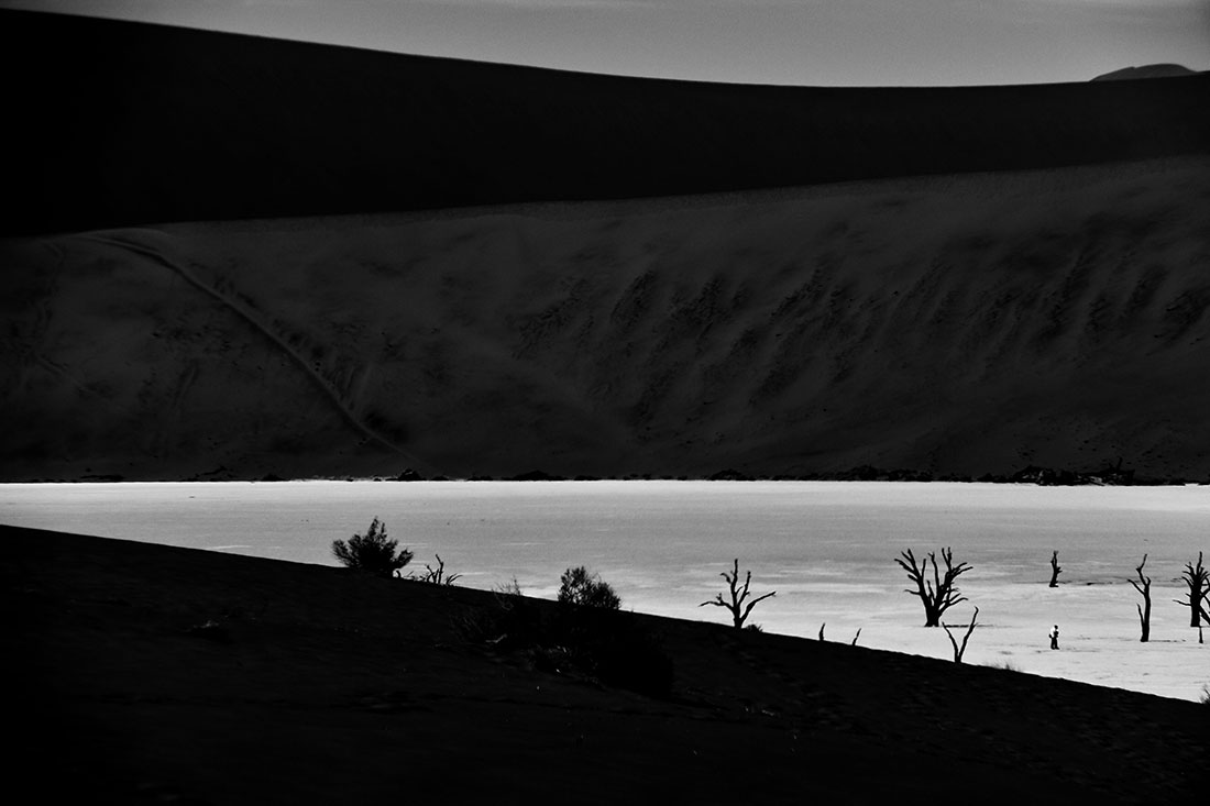 In the  dunes