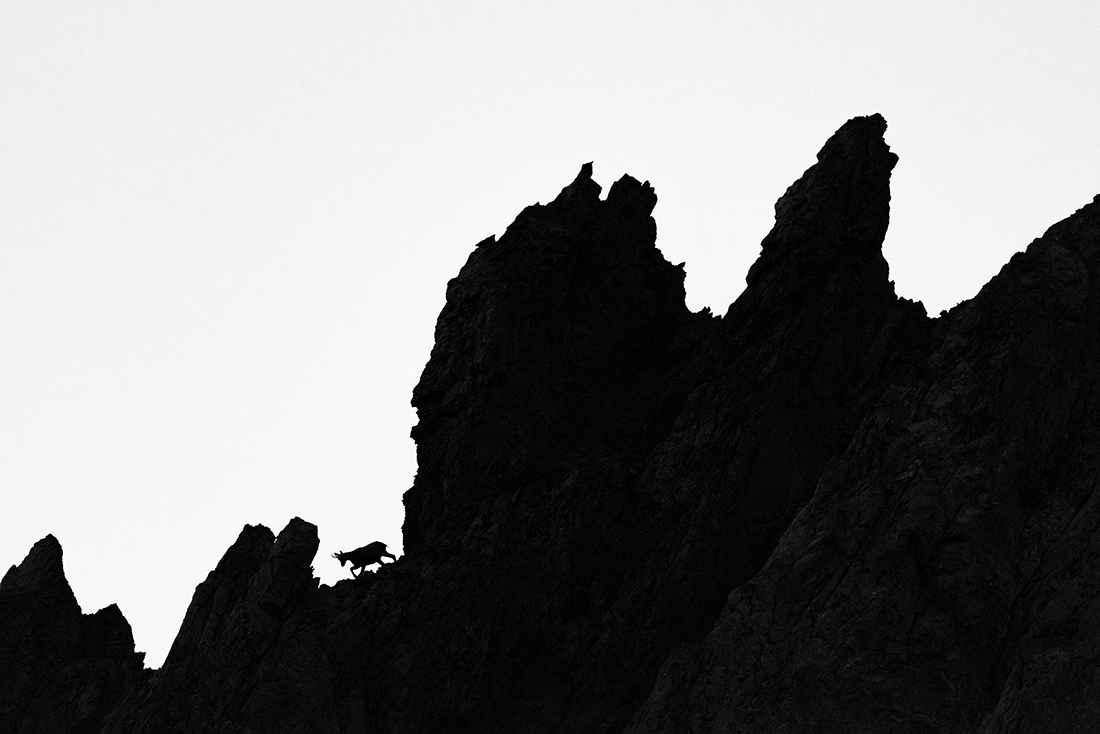 Shadows in the alps