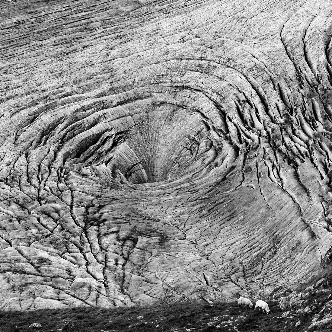 The hole