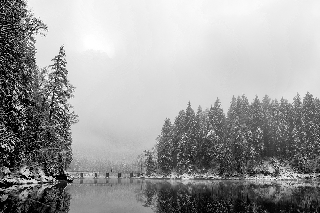 The Bridge