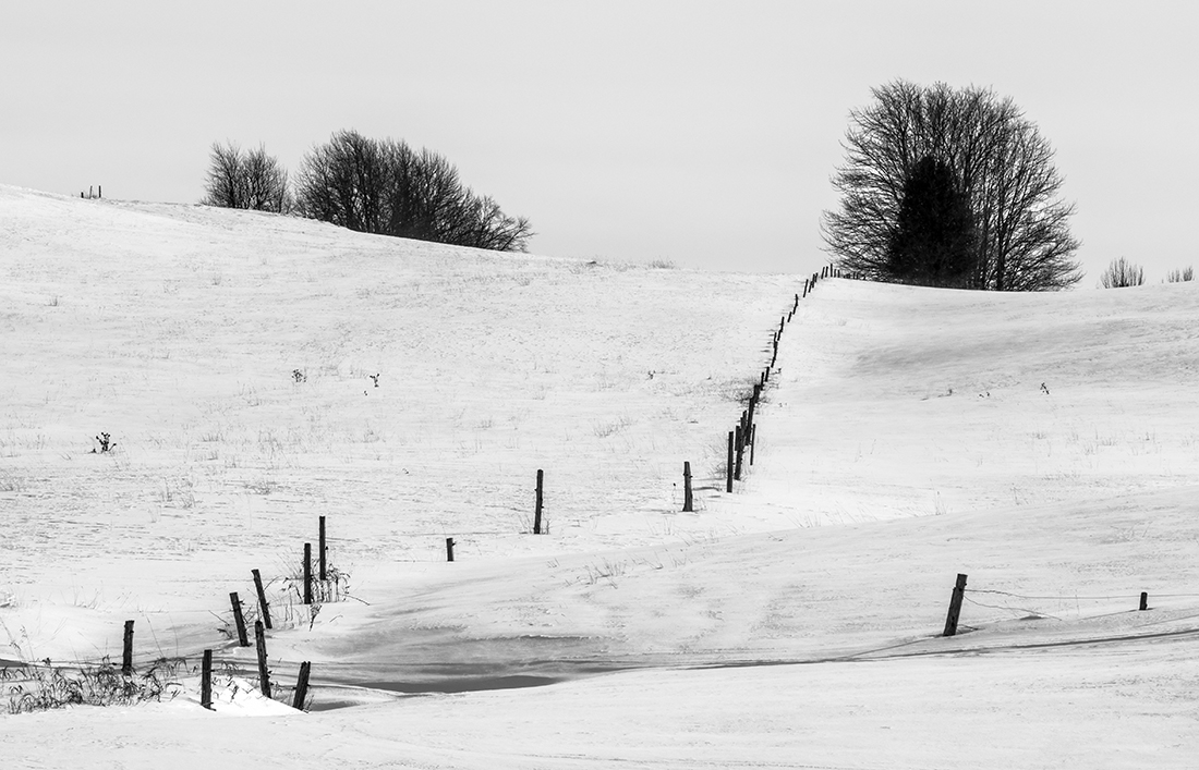 Our cold winter days.