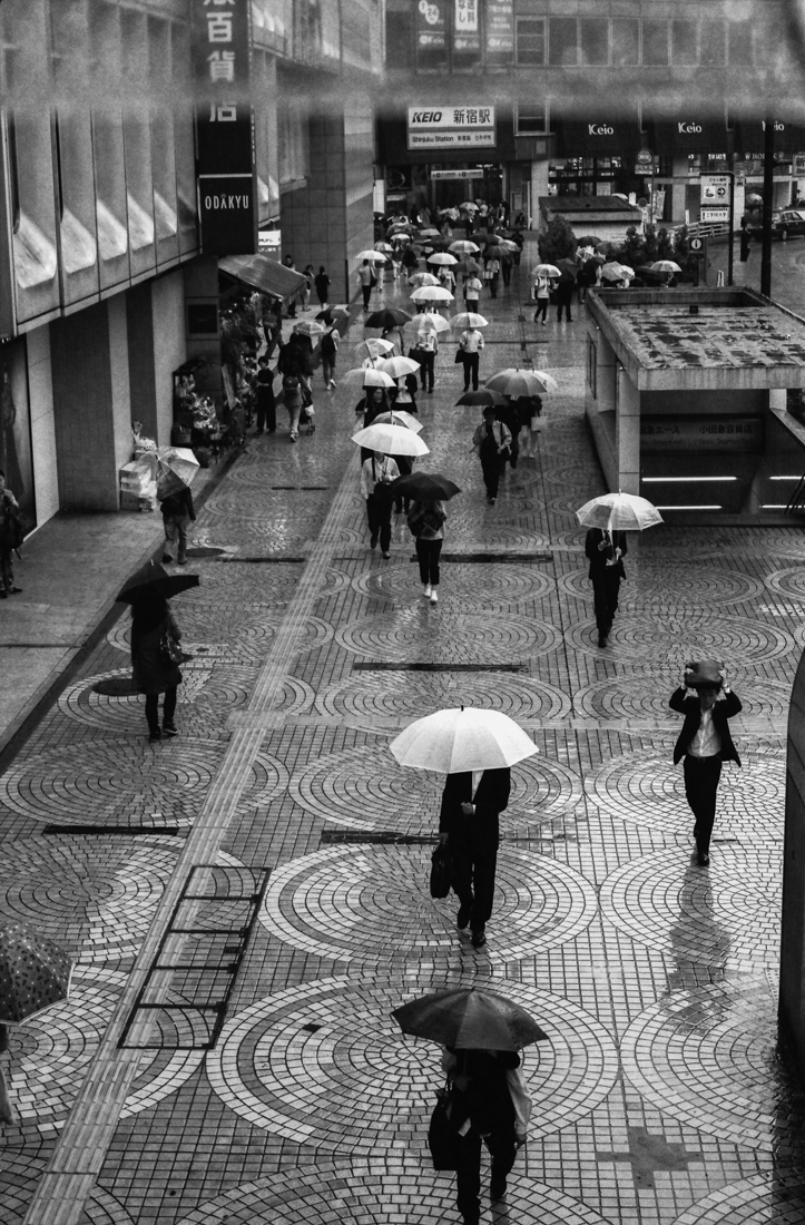 Rainy day