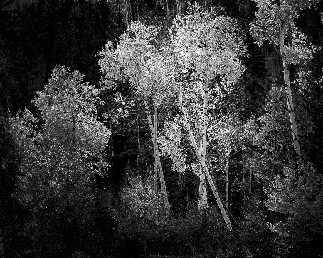 Elements of the American Landscape