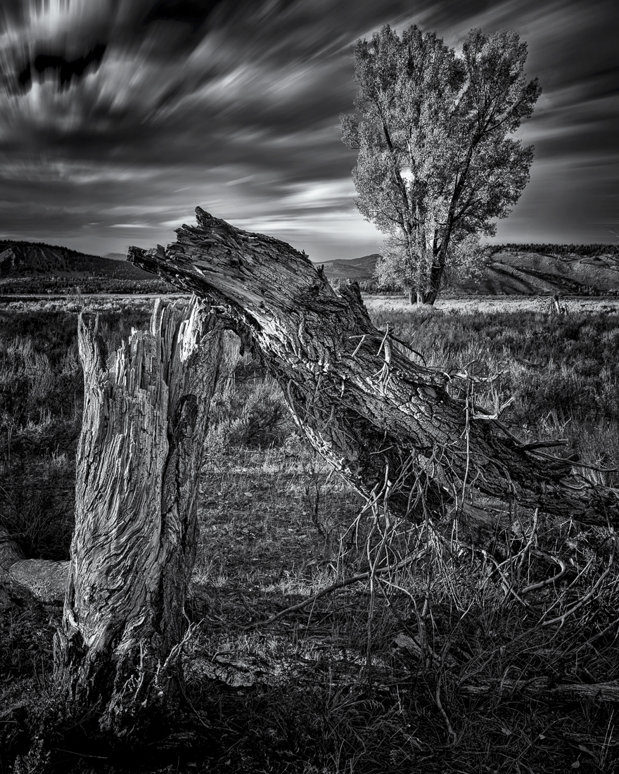 Elements of the American Landscape