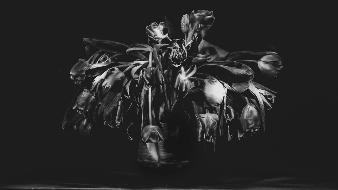 Decay´s beauty. 
