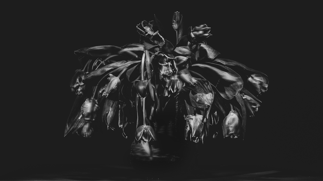 Decay´s beauty. 