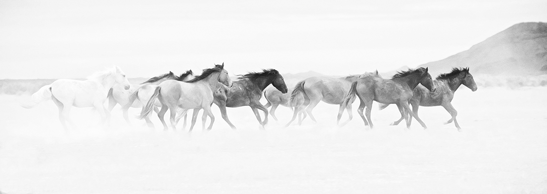 Dancing with the Wind
