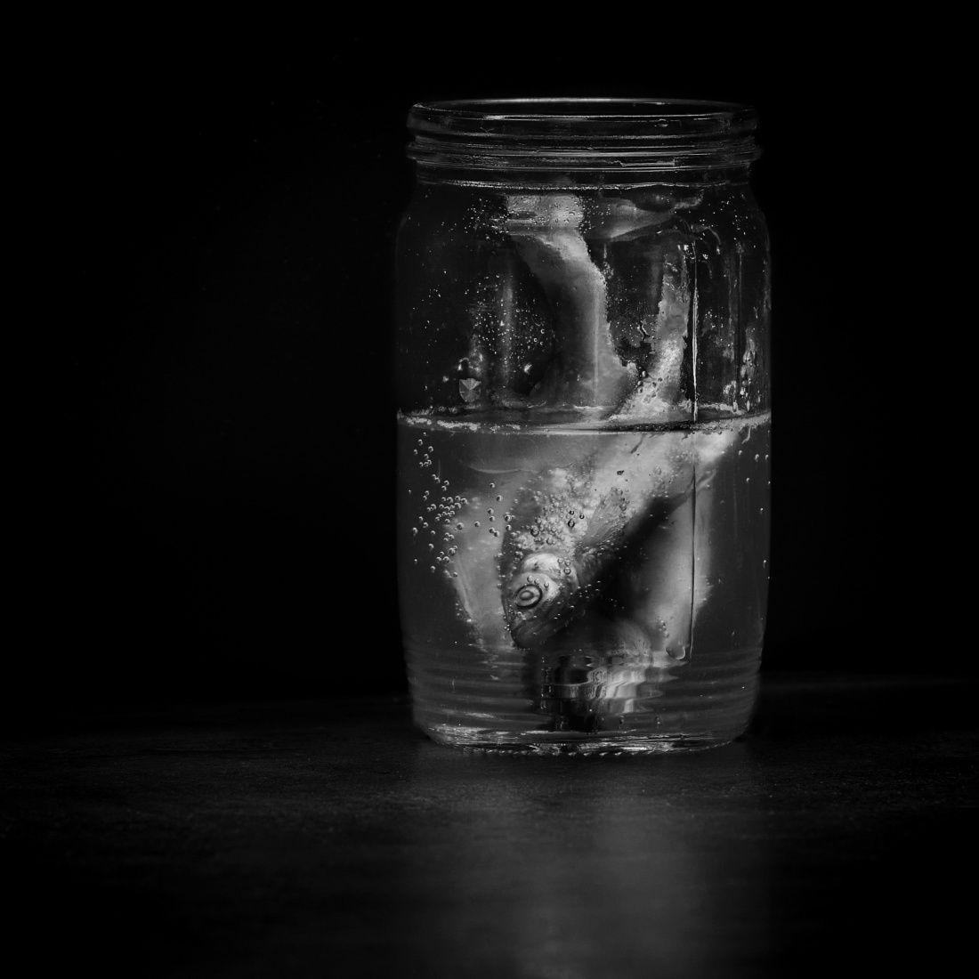 still life of unstill death